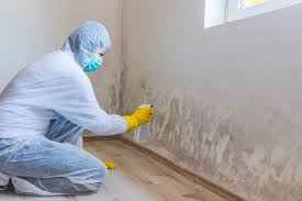 Best Mold Prevention Services  in Stockton, MO